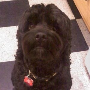 Meet your Posher, Jenny